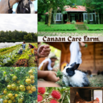 Canaan Care farm.