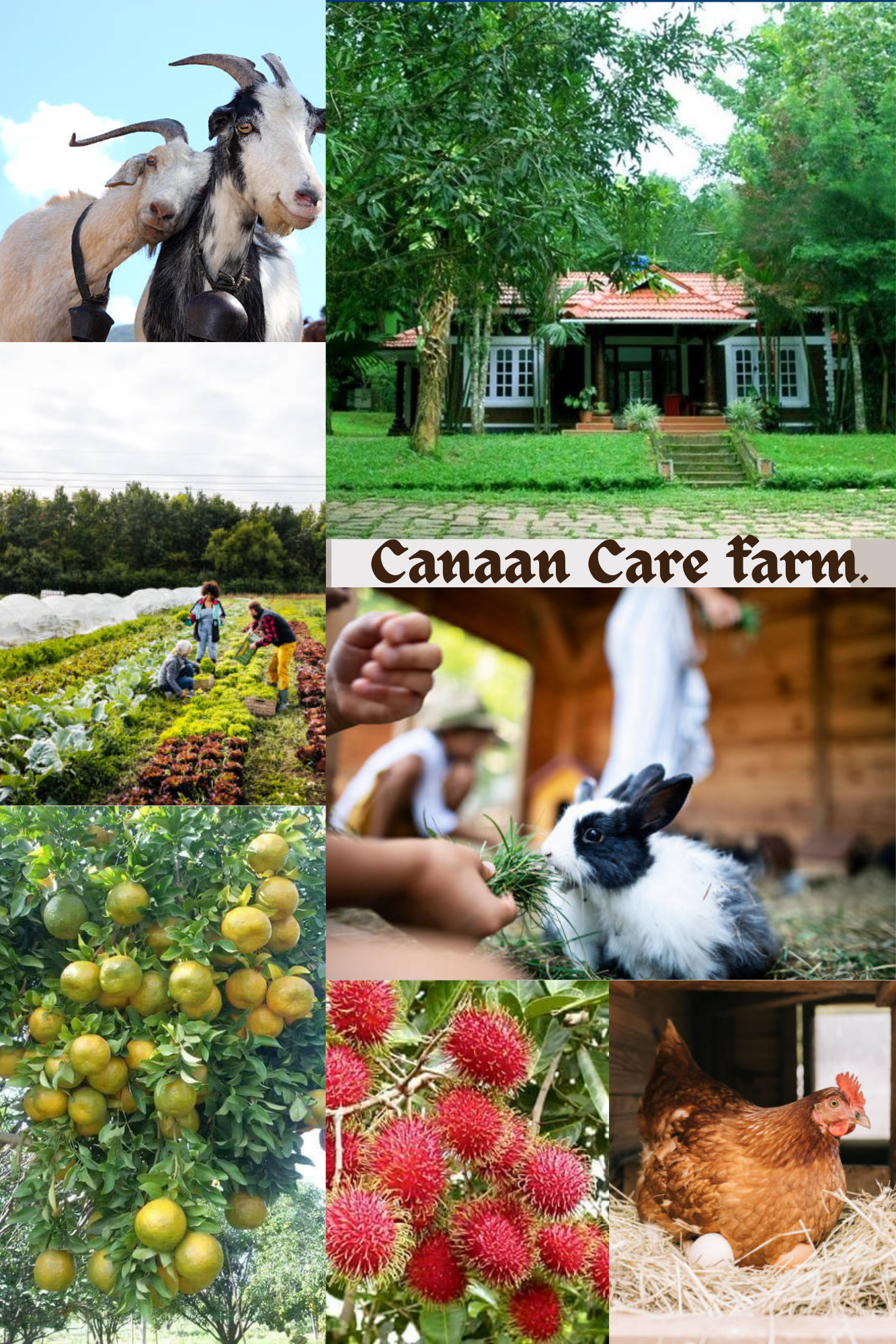 Canaan Care farm.