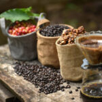 Musk coffee Selective focus Raw coffee beans, Coffee musk feces in the on bamboo threshing basket.Musk coffee Expensive coffee from dung.